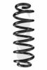 SPIDAN 86925 Coil Spring